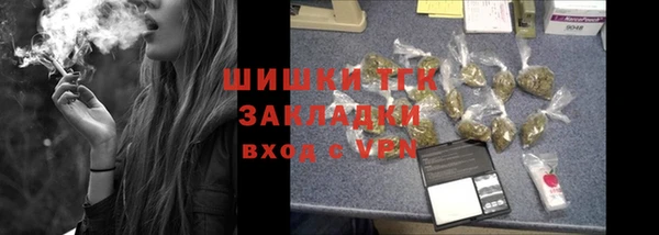 винт Щучье