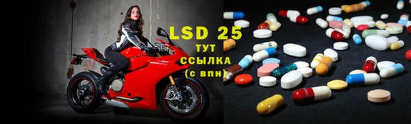 трава Лабытнанги