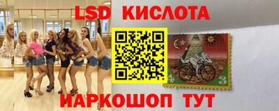 apvp Свободный