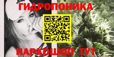 индика Ипатово