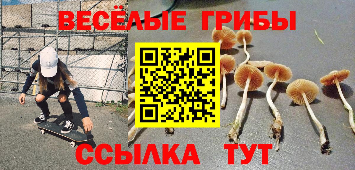 Галлюциногенные грибы ЛСД Хасавюрт
