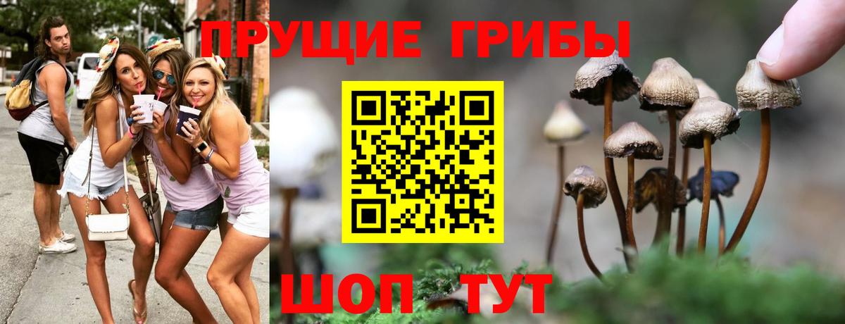 Галлюциногенные грибы мухоморы  Вход с VPN  Хасавюрт 